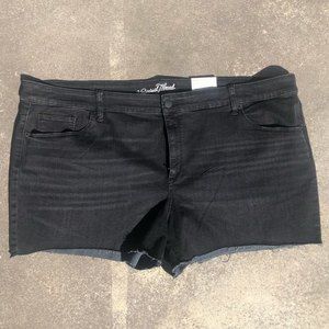 NWT Plus Size High-rise Dark Wash Black Jean shorts 26W
